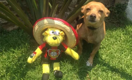 Mascota del Leverkusen disfruta de fiestas mexicanas 