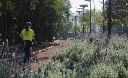 Mujer sufre agresión sexual en Bosque de Tlalpan