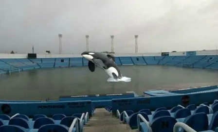 Usuarios de Twitter se burlan de inundación en estadio Tamaulipas