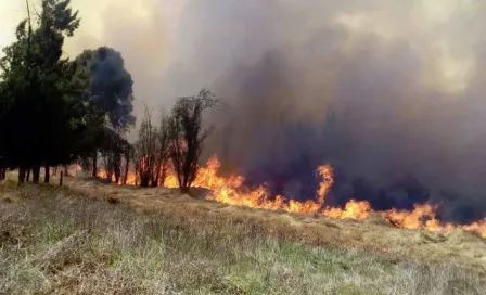 Incendio en Xochimilco afectó más de 40 hectáreas de pastizales