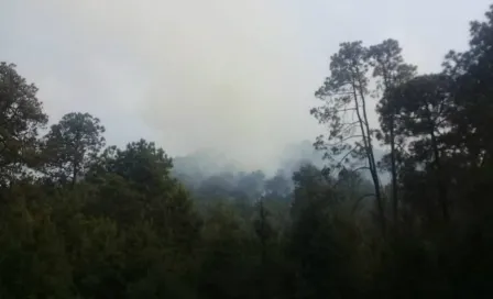 Se activa contingencia ambiental por ozono