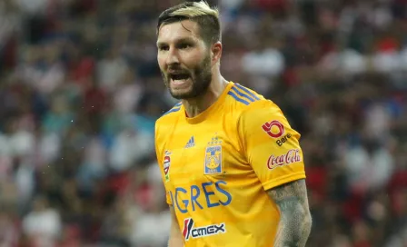 Gignac responde a Tomas Boy: "Yo sí soy Tigre"