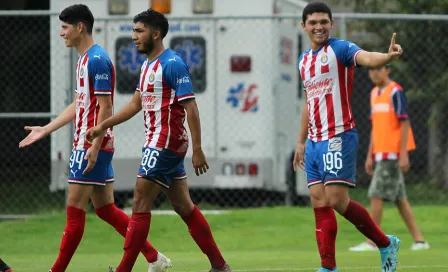 Chivas domina a placer las categorías inferiores en el Apertura 2019