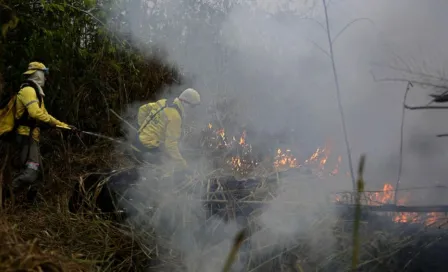 África registró más incendios que la Amazonia