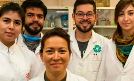 Científicos del IPN lograron eliminar al 100 por ciento el Virus del Papiloma Humano 