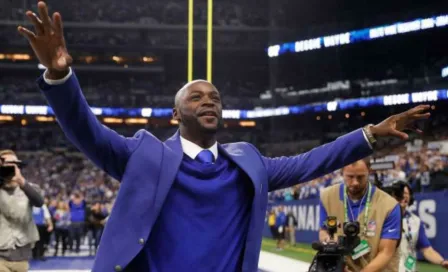 Reggie Wayne y Troy Polamalu lideran nominados al HOF