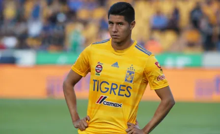 Tigres canceló su gira por Estados Unidos