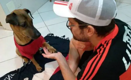 Fan rifa su boleto de Libertadores para ayudar a su perro enfermo de cáncer