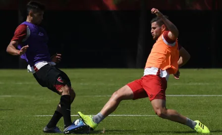 Una iguana y un perro interrumpieron un partido amistoso de Newell's en Argentina