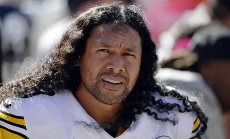 Troy Polamalu y Reggie Wayne encabezan finalistas para el Salón de la Fama