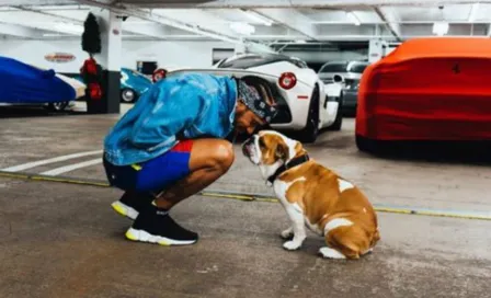 Lewis Hamilton informó sobre la muerte de su perrita Coco