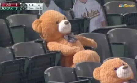 Video: Oso de peluche gigante fue golpeado por un foul en el  Athletics vs Diamodbacks