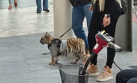 Tigre fue captado mientras era paseado por Plaza Antara en Ciudad de México