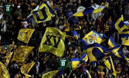 Tigres: Libres y Lokos dedicaron a Rayados composición de 'Hawái' de Maluma