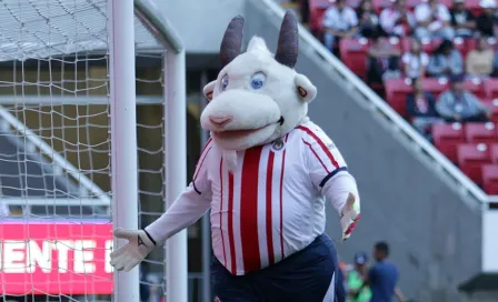 Chivas: Mascota 'Chiva Loca', internada por Covid-19