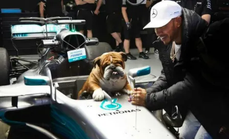 Hamilton presumió a su perro 'Roscoe' previo al GP de Turquía