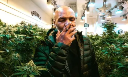 Mike Tyson y la fortuna que gana por vender marihuana