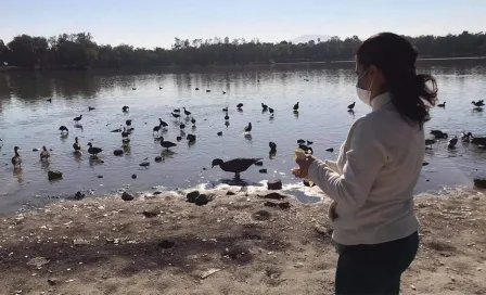 Lago de Guadalupe y Espejo de los Lirios, en el colapso y a la deriva