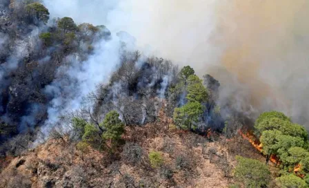 Tepoztlán: Conafor reportó que se controló en un 100 por ciento incendio en El Tepozteco