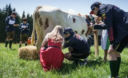 Checo Pérez ordeñó una vaca durante actividades de Red Bull en Austria