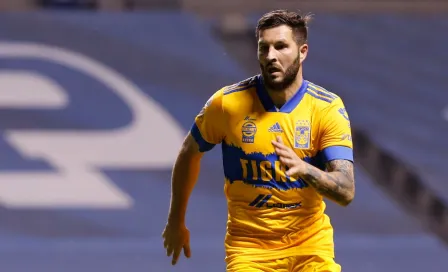 Tigres: Piojo Herrera reveló que Gignac reaparecerá ante León