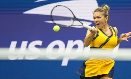 Simona Halep: Investigadores rumanos utilizaron el nombre de la tenista para 'bautizar' un insecto