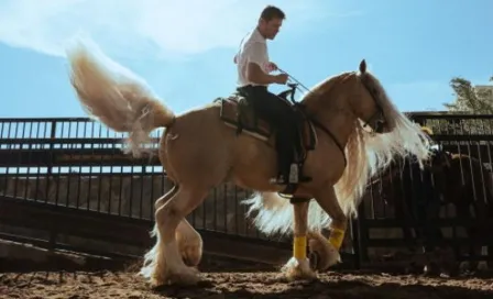 Canelo Álvarez: Así es el lujoso rancho del boxeador mexicano