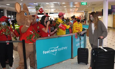 Coronavirus: Australia recibió a turistas con Koalas de peluche tras eliminar restricciones