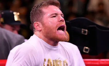 Canelo Álvarez hace 'orinar sangre' a reportero que fungió como 'costal'