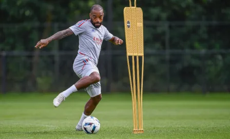 Olympique de Lyon: Jugadores del equipo fueron atacados por unas abejas