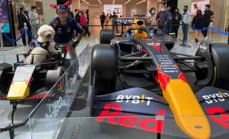 Checo Pérez: Fabbio, el perrito que viaja en una réplica del RB18 por las calles de la CMDX