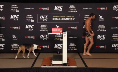 UFC: Luke Rockhold se subió al pesaje con su perro y se hace viral