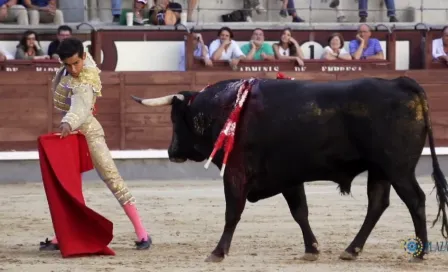 Alejandro Adame dio la única vuelta en la novillada concurso de Madrid