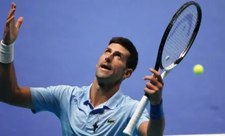 Novak Djokovic ‘bautizó’ a una especie de insecto descubierta en Serbia