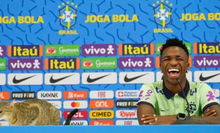 Brasil: Gato aparece en conferencia de prensa de Vinicius Jr y empleado lo baja bruscamente