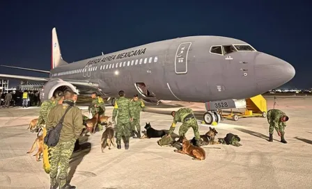 Terremoto en Turquía: México manda personal para ayudar y rescatar a personas