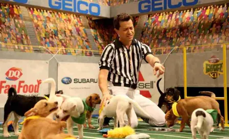 Puppy Bowl 2023: Evento para concientizar la adopción de animales