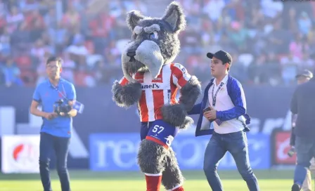 Atlético de San Luis le dio la bienvenida a ‘Lucho’, su mascota inspirada en la adopción