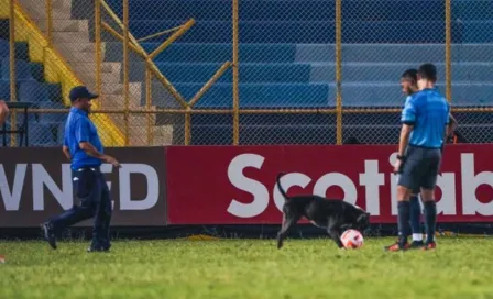 Concachampions: Perrito arma 'la fiesta' en el Alianza vs Philadelphia Union