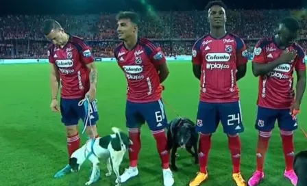 ¡Qué travieso! Perro orina a futbolista en partido del futbol colombiano