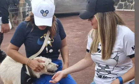 Pumas inició con el pie derecho la campaña 'Adopta un amigo'