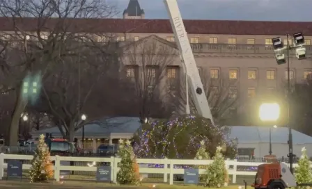 Fuertes vientos tiran el Árbol de Navidad de la Casa Blanca