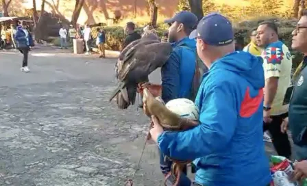 Celeste, la mascota de América, ya llegó a la cancha del Estadio Azteca