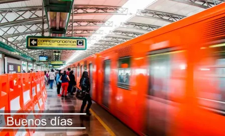 Rescatan perritos en el Metro, por lo que se tuvo que cortar la energía en las vías