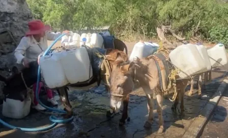 Crisis del agua: Al sur de la CDMX, la única forma de que llegue el líquido, es en animales de carga