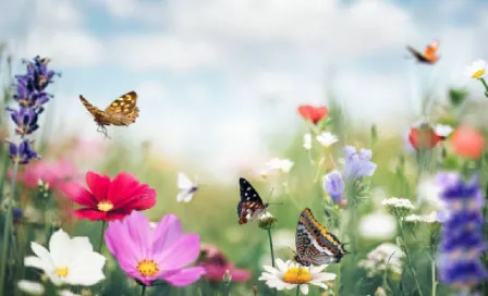 ¡Hoy entra el equinoccio de primavera de 2024! Te decimos a qué hora verlo