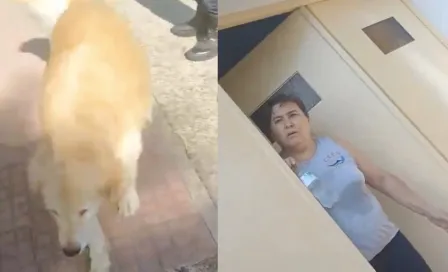 ¡Se salvó el perrito! Una mujer argentina pretendía comerse a su mascota, pero la denunciaron