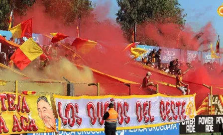 ¡Nuevo aficionado! Oveja aparece en pleno estadio del futbol uruguayo