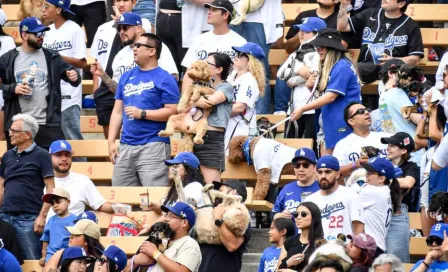 Aficionados asistieron al partido de Los Angeles Dodgers con sus perros 