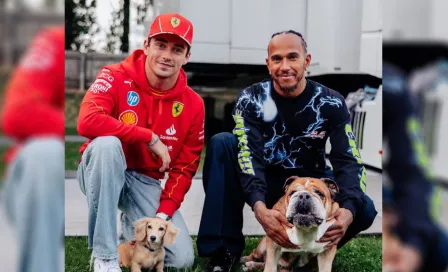 ¡El crossover que necesitábamos! Roscoe Hamilton y Leo Leclerc se conocieron en el Gran Premio de Gran Bretaña